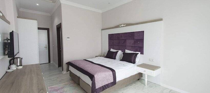 غرفة قياسية فردية, Sozturk Otel