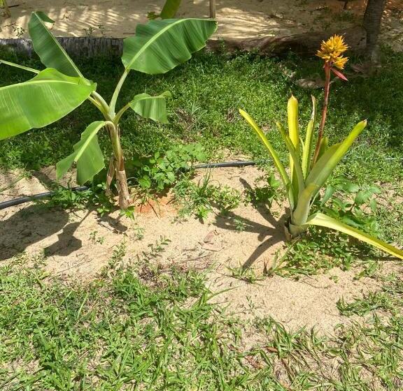 בקתת חדר, Lagoa Dos Coqueiros