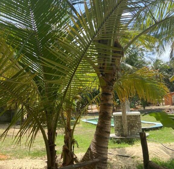 בקתת חדר, Lagoa Dos Coqueiros