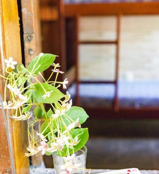 تختخواب در اتاق مشترک, Abaquar Hostel