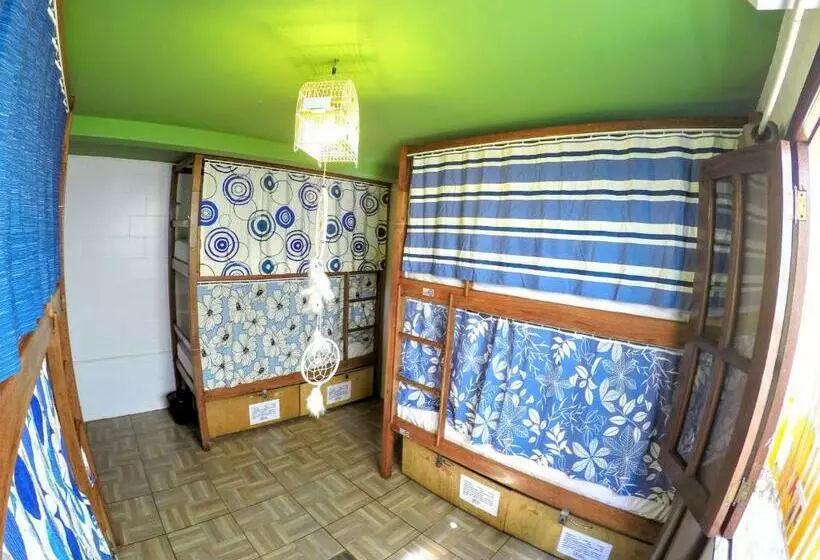 ルームシェアのワンベッド, Local Hostel Manaus