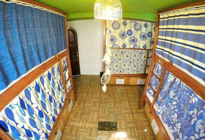 ルームシェアのワンベッド, Local Hostel Manaus