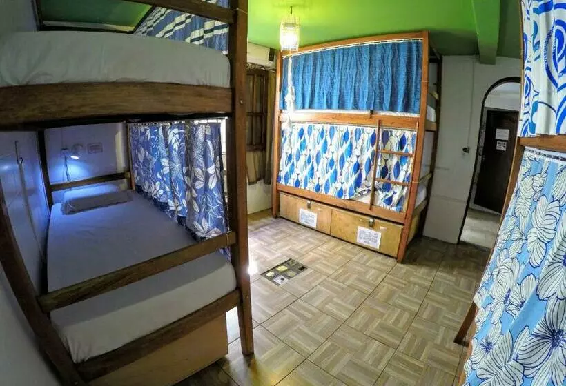 ルームシェアのワンベッド, Local Hostel Manaus
