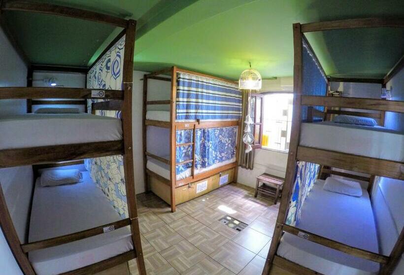 ルームシェアのワンベッド, Local Hostel Manaus