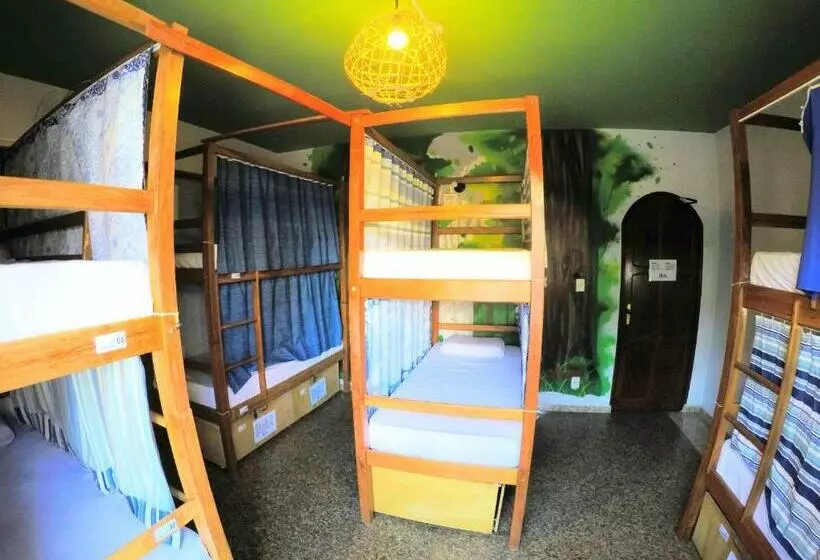 ルームシェアのワンベッド, Local Hostel Manaus
