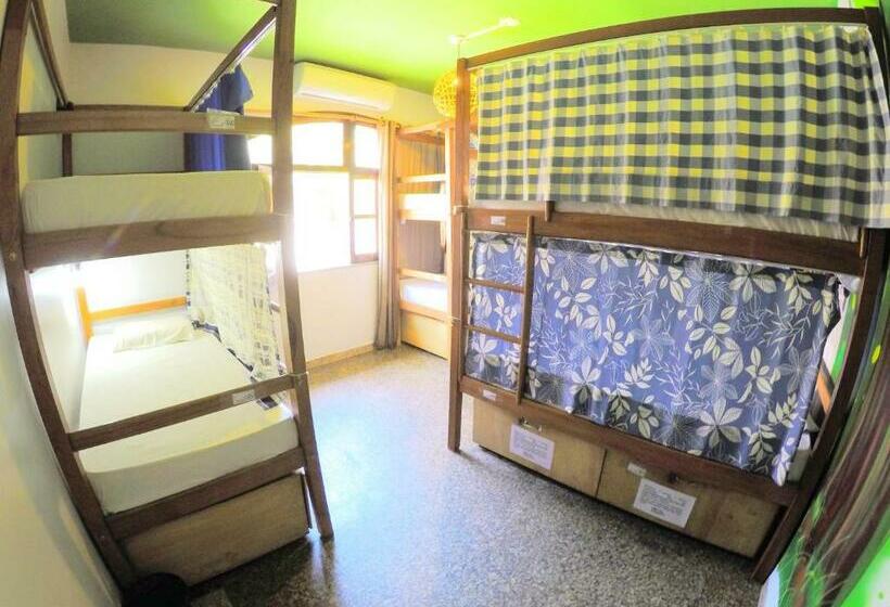 ルームシェアのワンベッド, Local Hostel Manaus