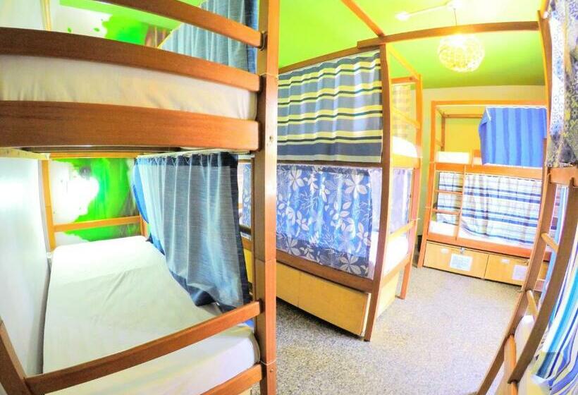 공동 객실, Local Hostel Manaus