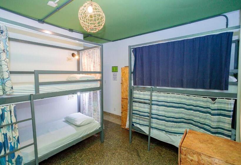 Кровать в Общей Комнате, Local Hostel Manaus