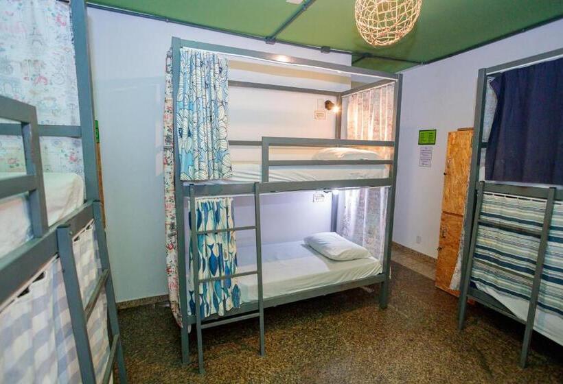 ルームシェアのワンベッド, Local Hostel Manaus