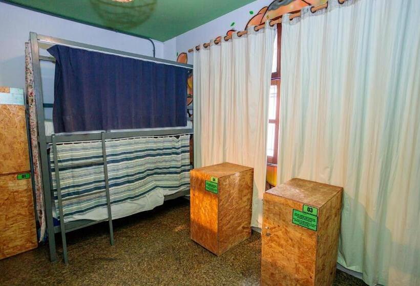 공동 객실, Local Hostel Manaus