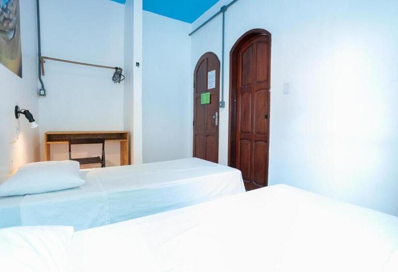 Люкс, Local Hostel Manaus