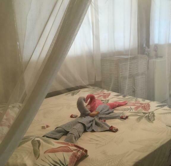 オーシャンビュージュニアスイート, Pousada Mediterraneo