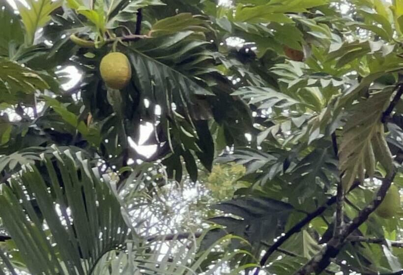 جناح, Pousada Pé Da Mata Maresias