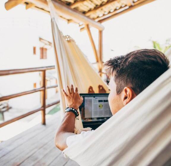 스탠다드 스튜디오, Vila Marola