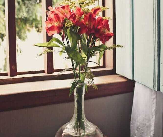 חדר סטנדרט, Vila Nova Do Príncipe