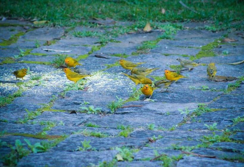 סוויטה משפחתית, Pousada Pouso Do Barão