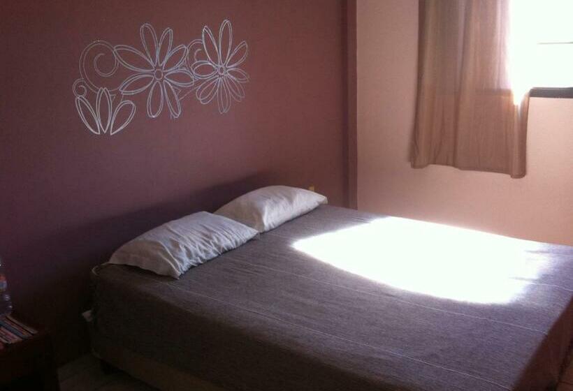 غرفة قياسية, 50