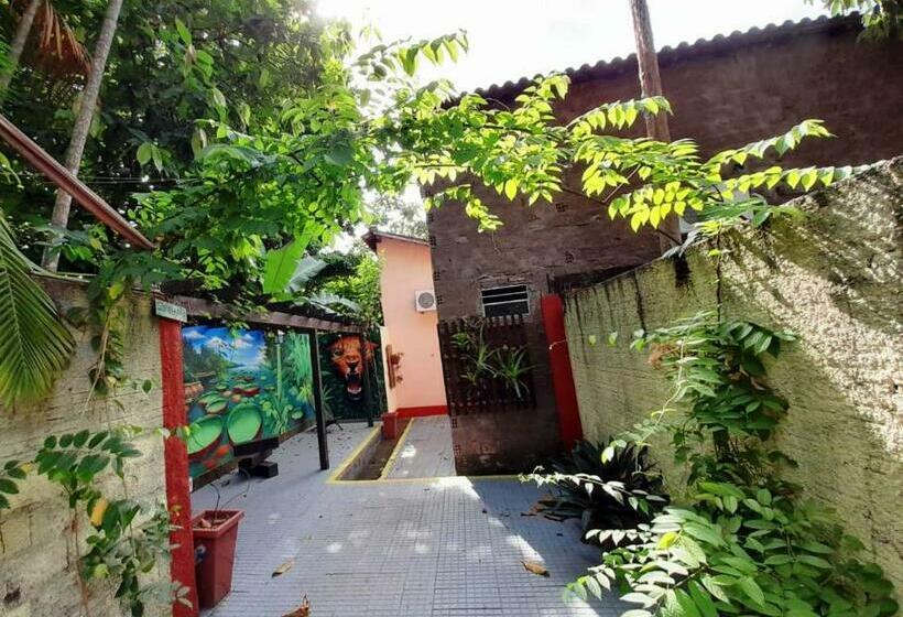 스위트, Agualinda