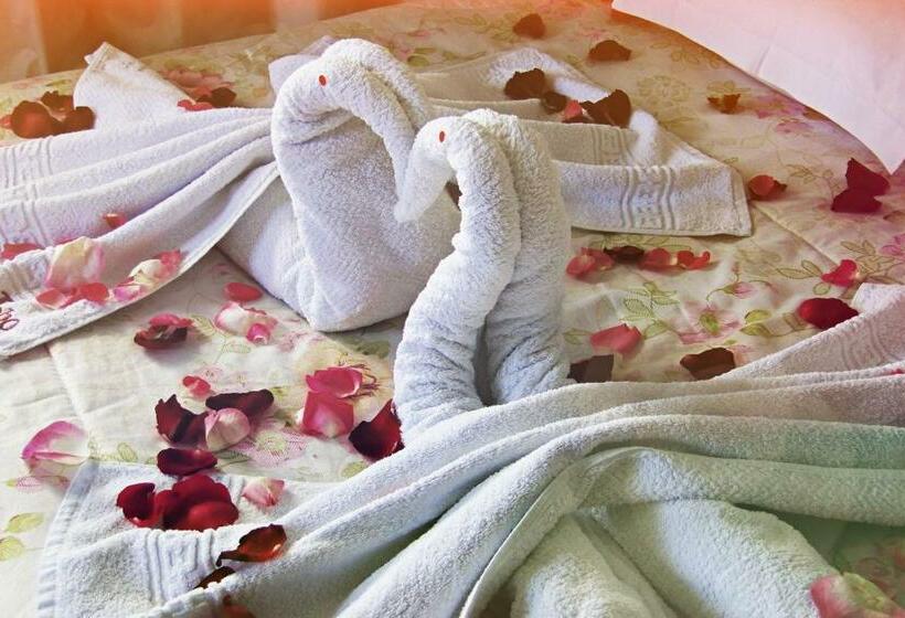 スタンダードルーム, Lobo