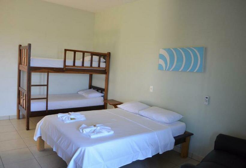 Quarto Estandar, Toya