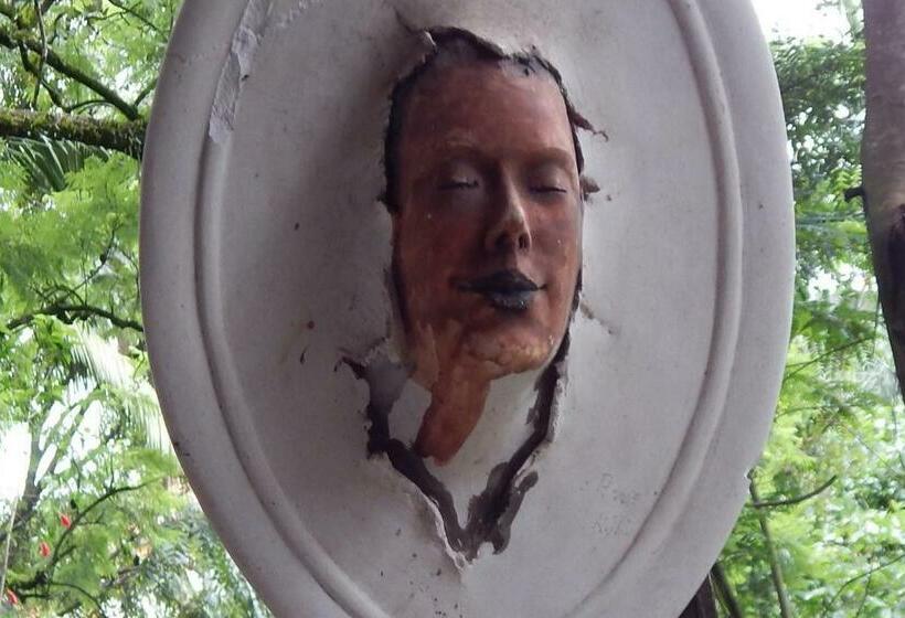 اتاق اکونومی, Pouso Das Glicínias   B&b