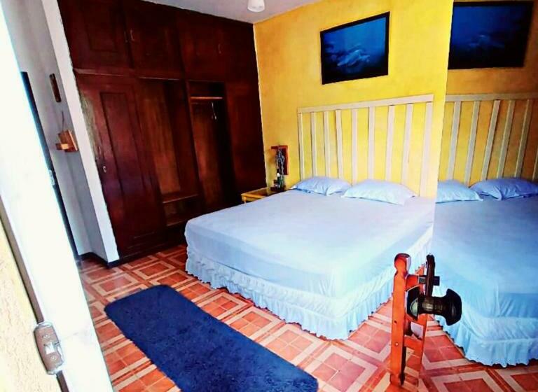 سوییت سوپریور, Rio Surf House Hostel E Pousada