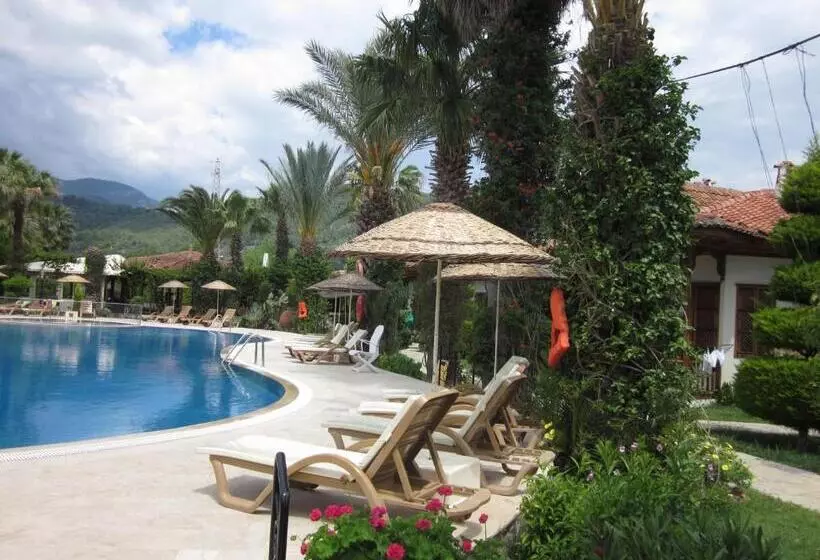 Standard Room Pool View, Asur Hotel & Aparts & Villas