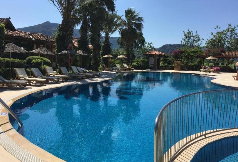 Номер Стандарт Вид на Бассейн, Asur Hotel & Aparts & Villas