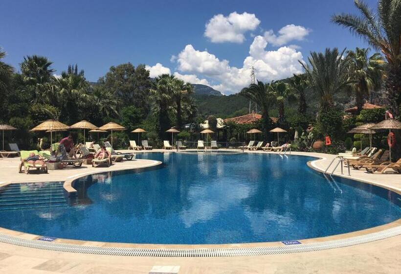 Номер Стандарт Вид на Бассейн, Asur Hotel & Aparts & Villas