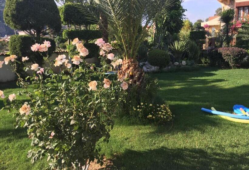 Вилла 4 Спальни, Asur Hotel & Aparts & Villas