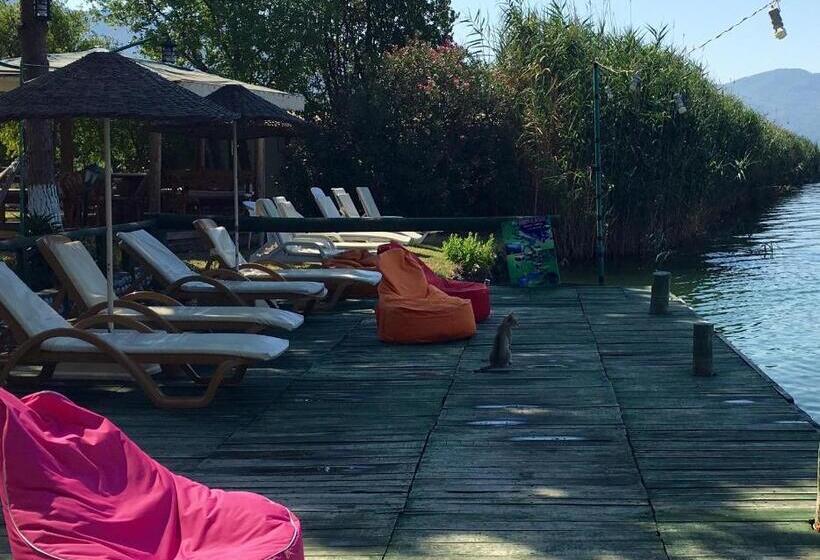 Апартаменты 1 Спальня, Asur Hotel & Aparts & Villas