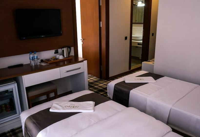 家庭套房, Aripsas