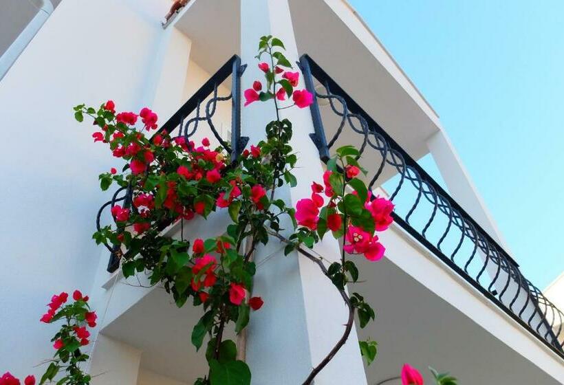 Superior Room, Kalina