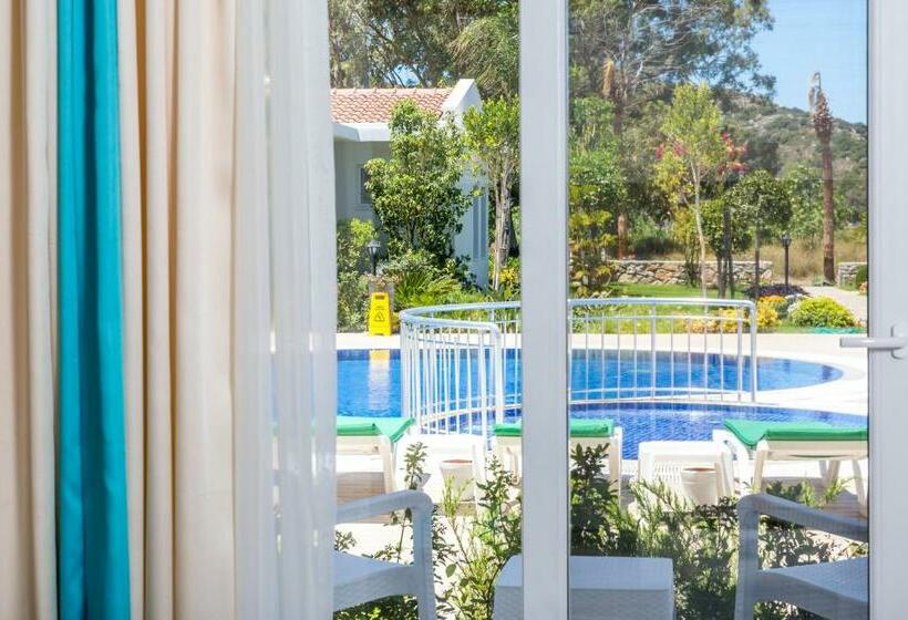 Standard Room, Kalina