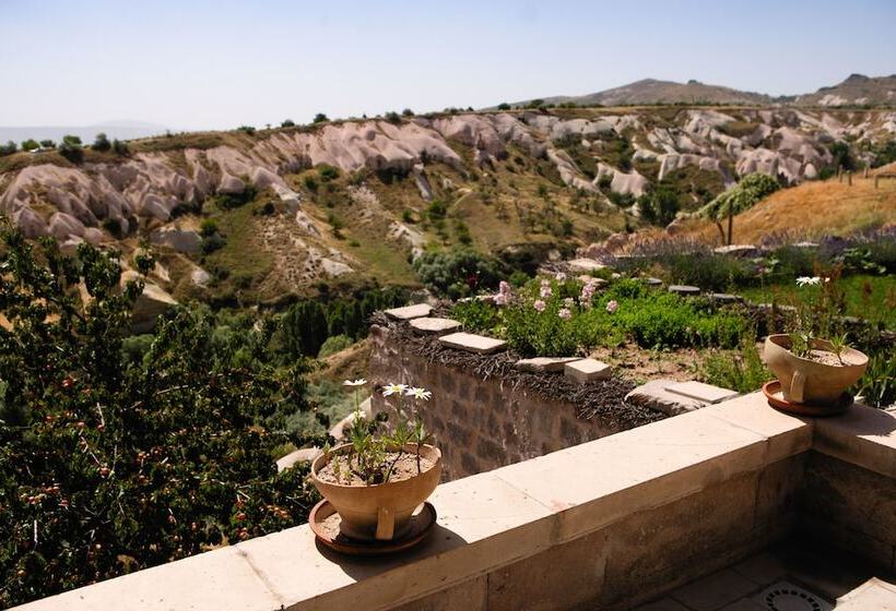 프리미엄 룸, Kistar Cave