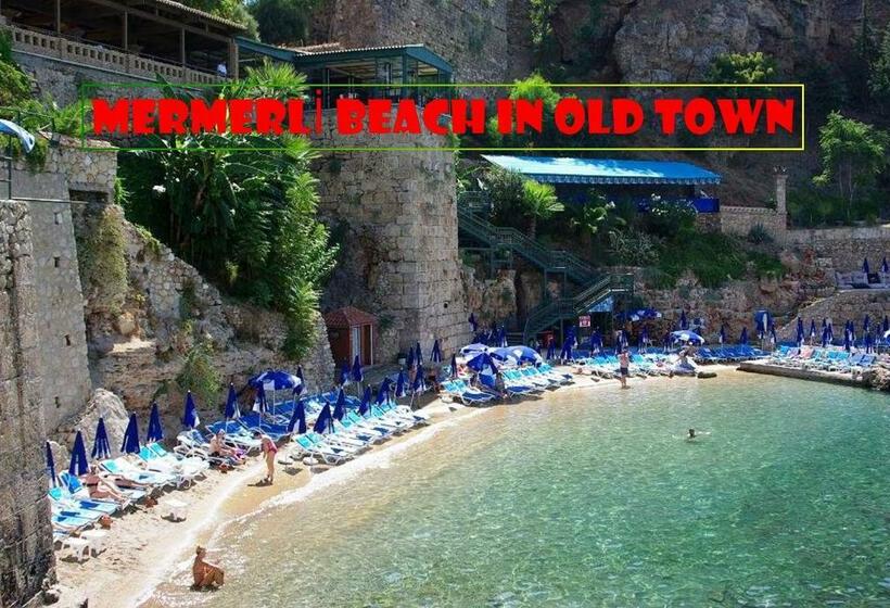 Camera Standard, Marka