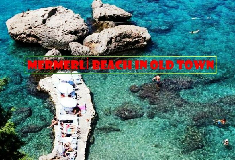 Camera Standard, Marka