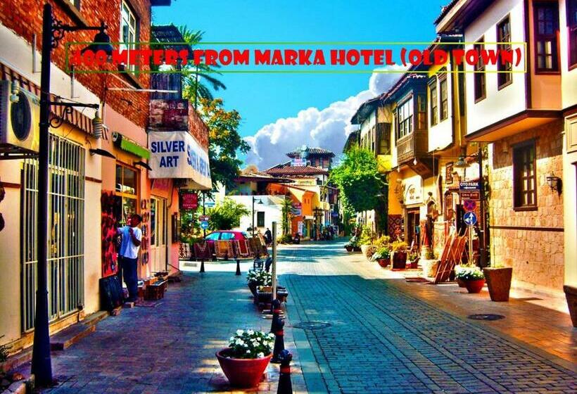 Camera Standard, Marka