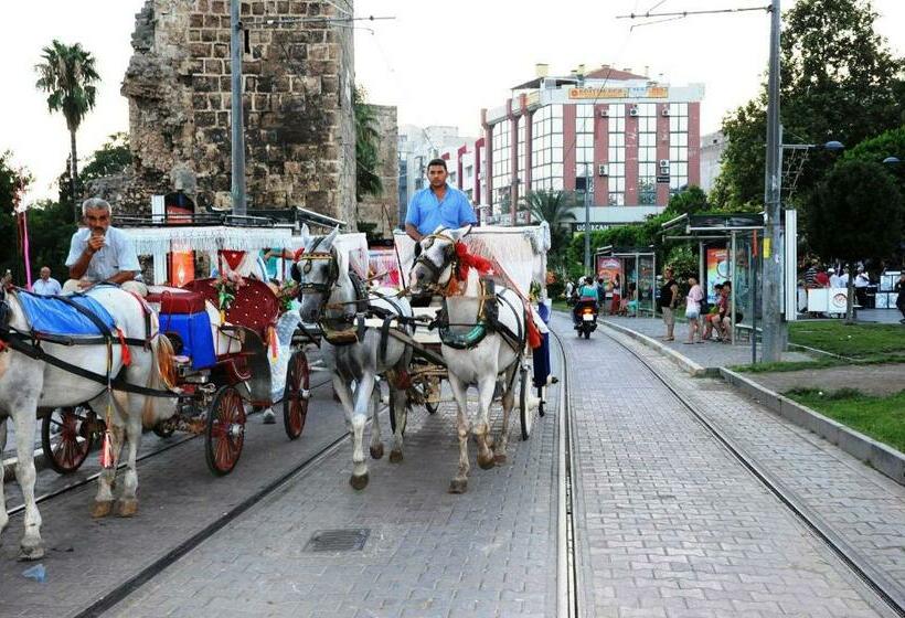 Camera Standard, Marka