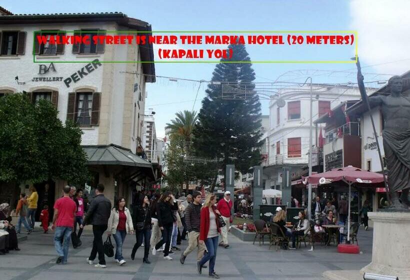 Camera Standard, Marka