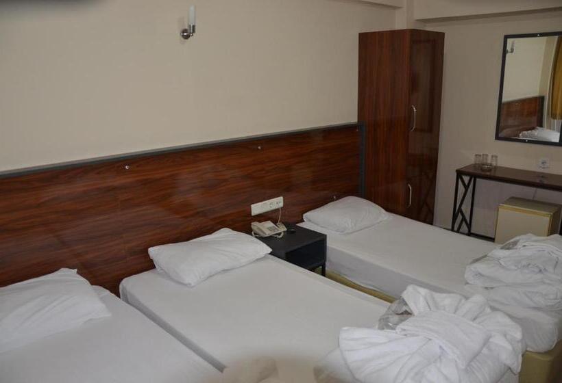 Camera Tripla Standard, Marka