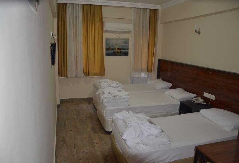 Camera Tripla Standard, Marka