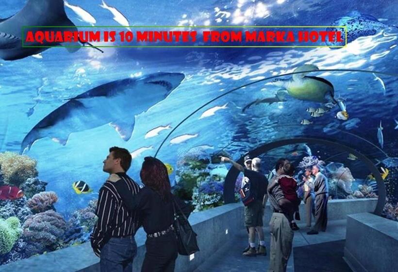 Camera Standard, Marka