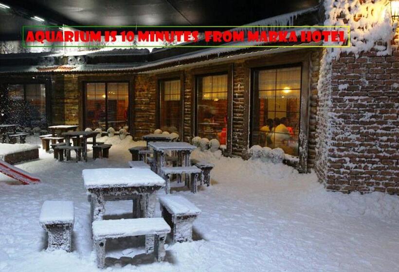 Camera Standard, Marka