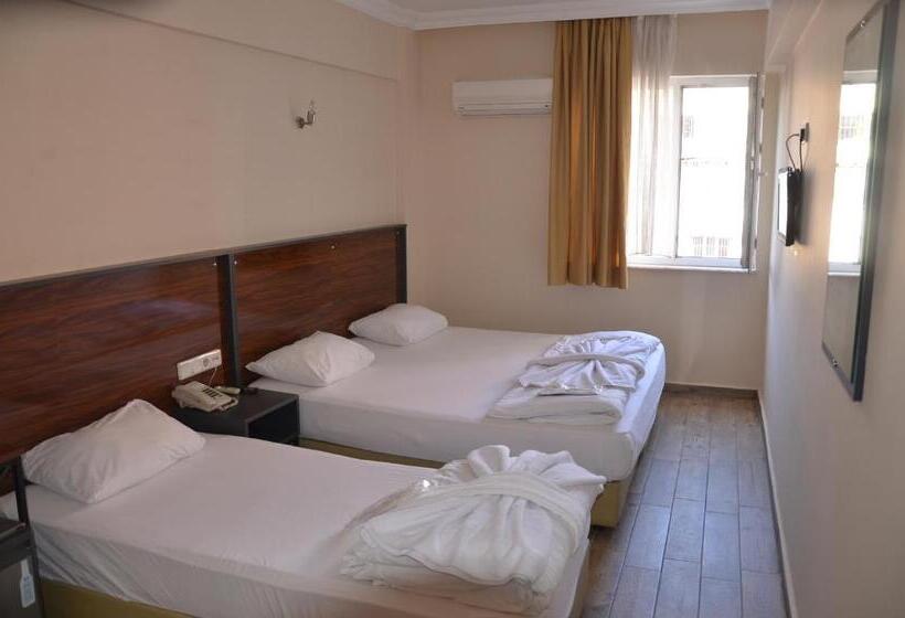 Camera Standard, Marka