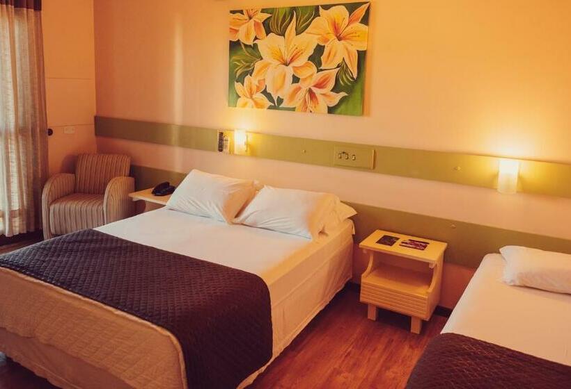 침실 1개 이그제큐티브 아파트, Petropolis