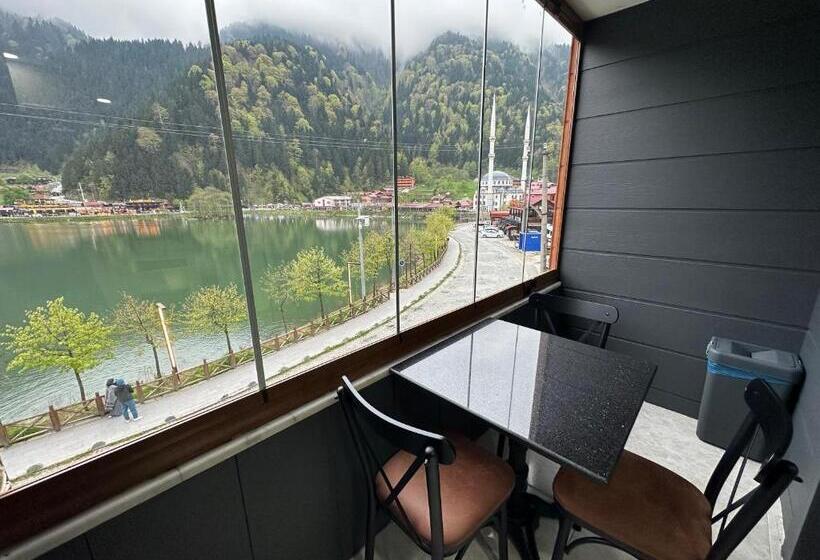 스탠다드 룸 킹사이즈 침대, Poyraz Hotel Uzungöl