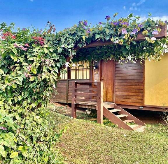 Бунгало Стандарт, Santa Esmeralda