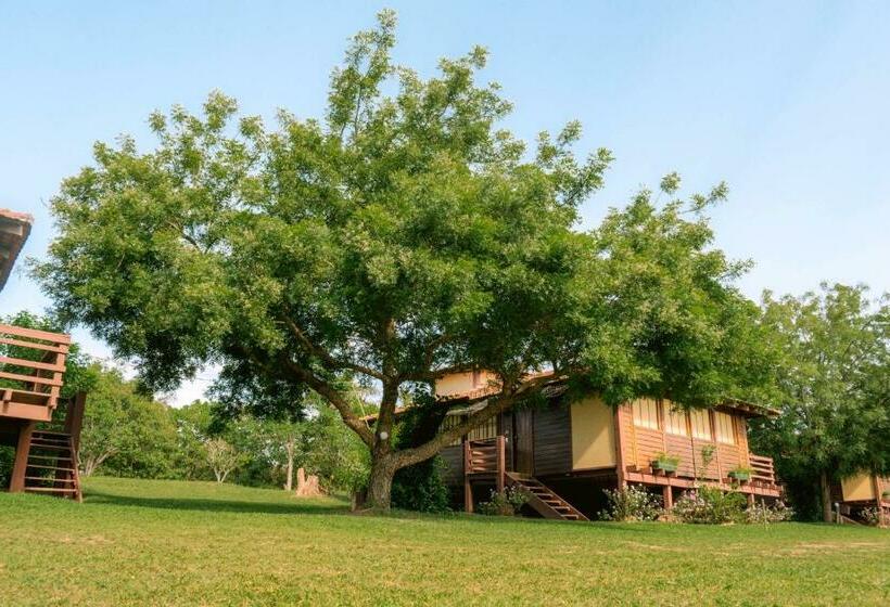 Бунгало Стандарт, Santa Esmeralda