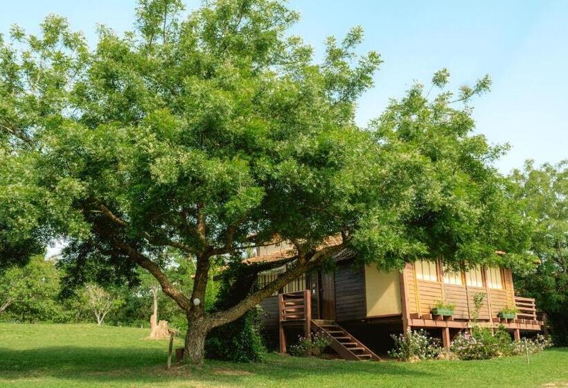 Бунгало Стандарт, Santa Esmeralda